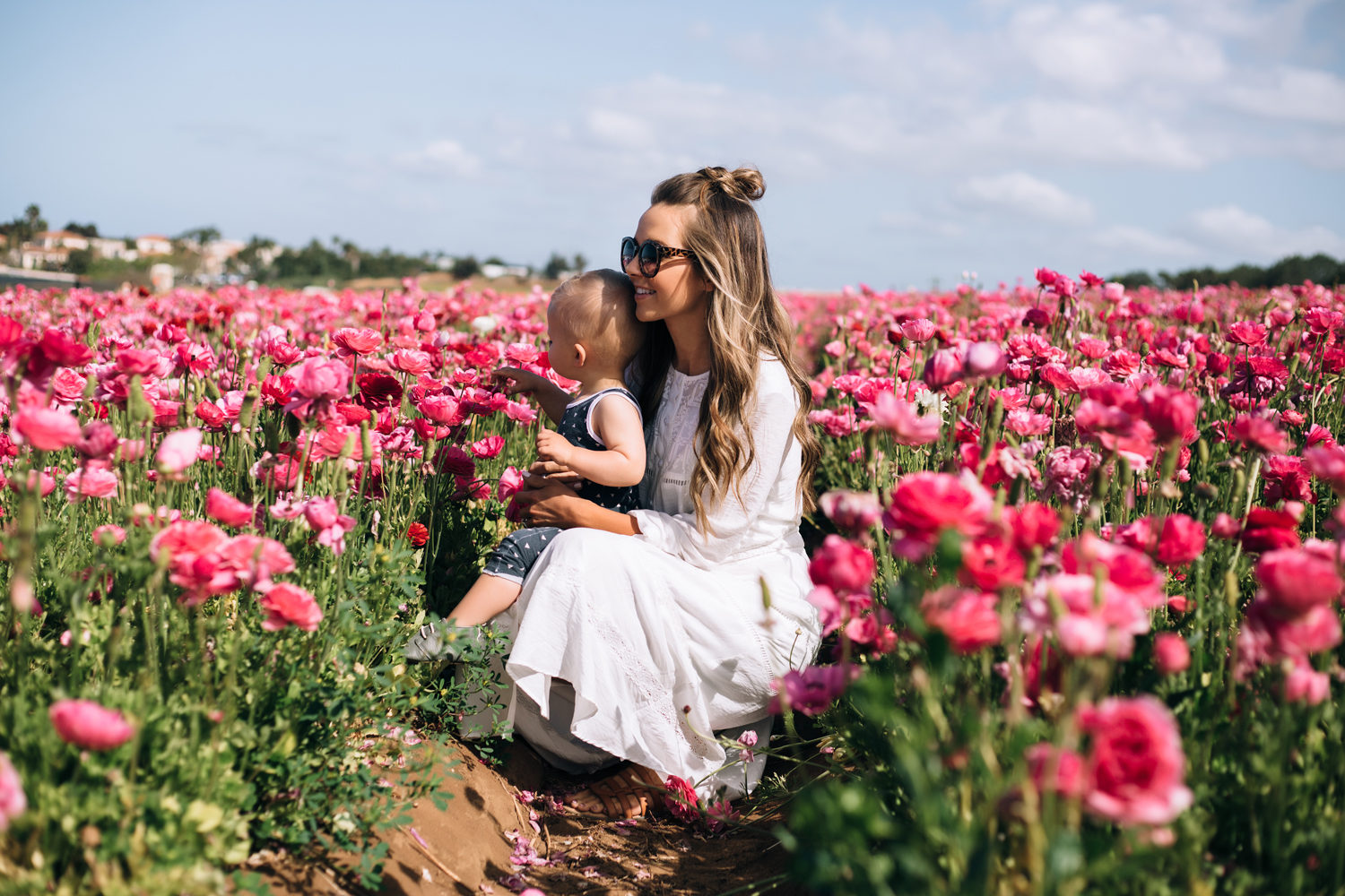 carlsbad flower fields