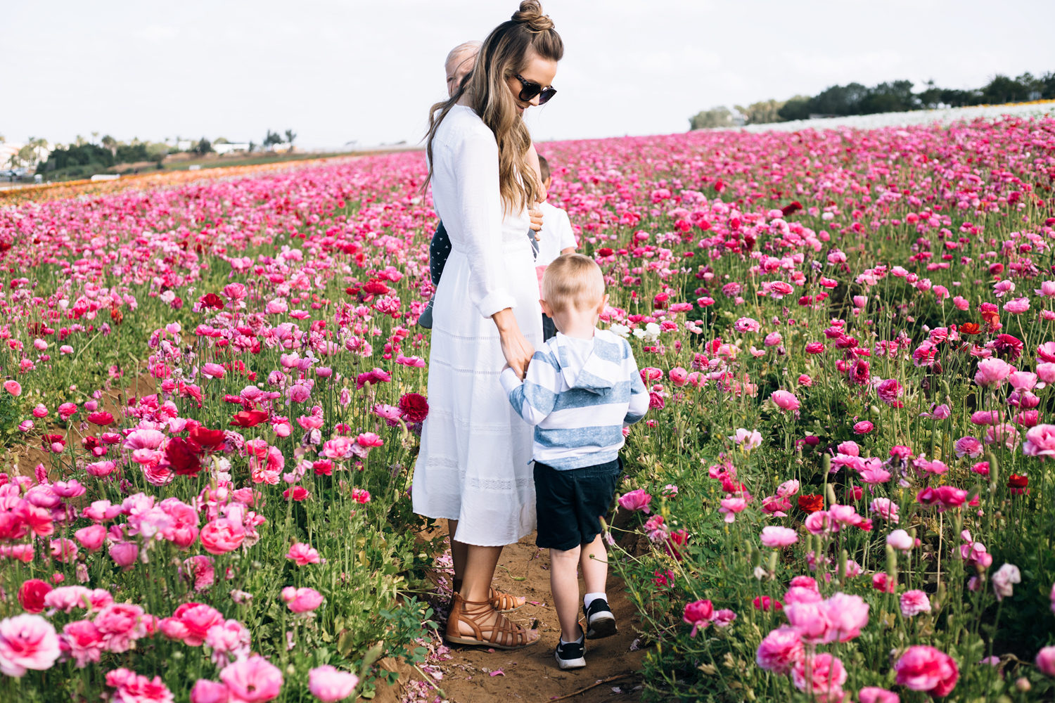 Merrick's Art | Pink Flower Fields
