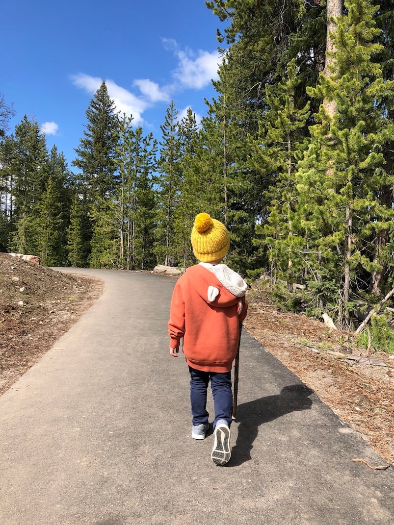 yellowstone national park with kids