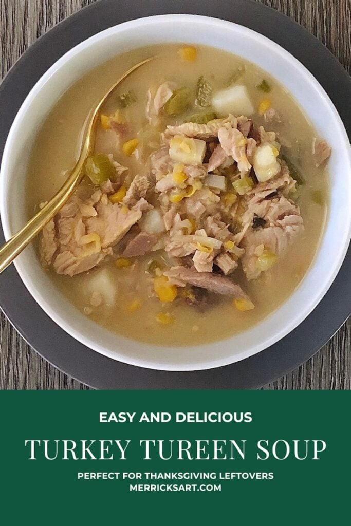 turkey tureen soup