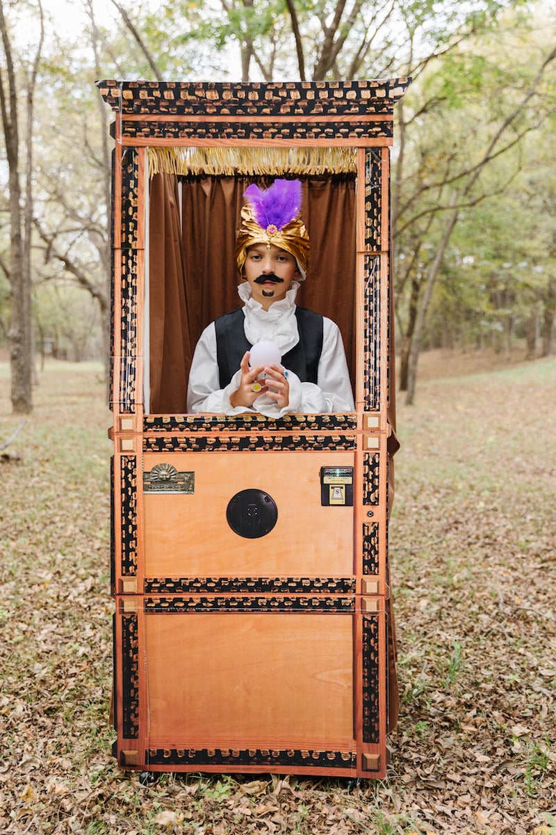 circus costume zoltar fortune teller