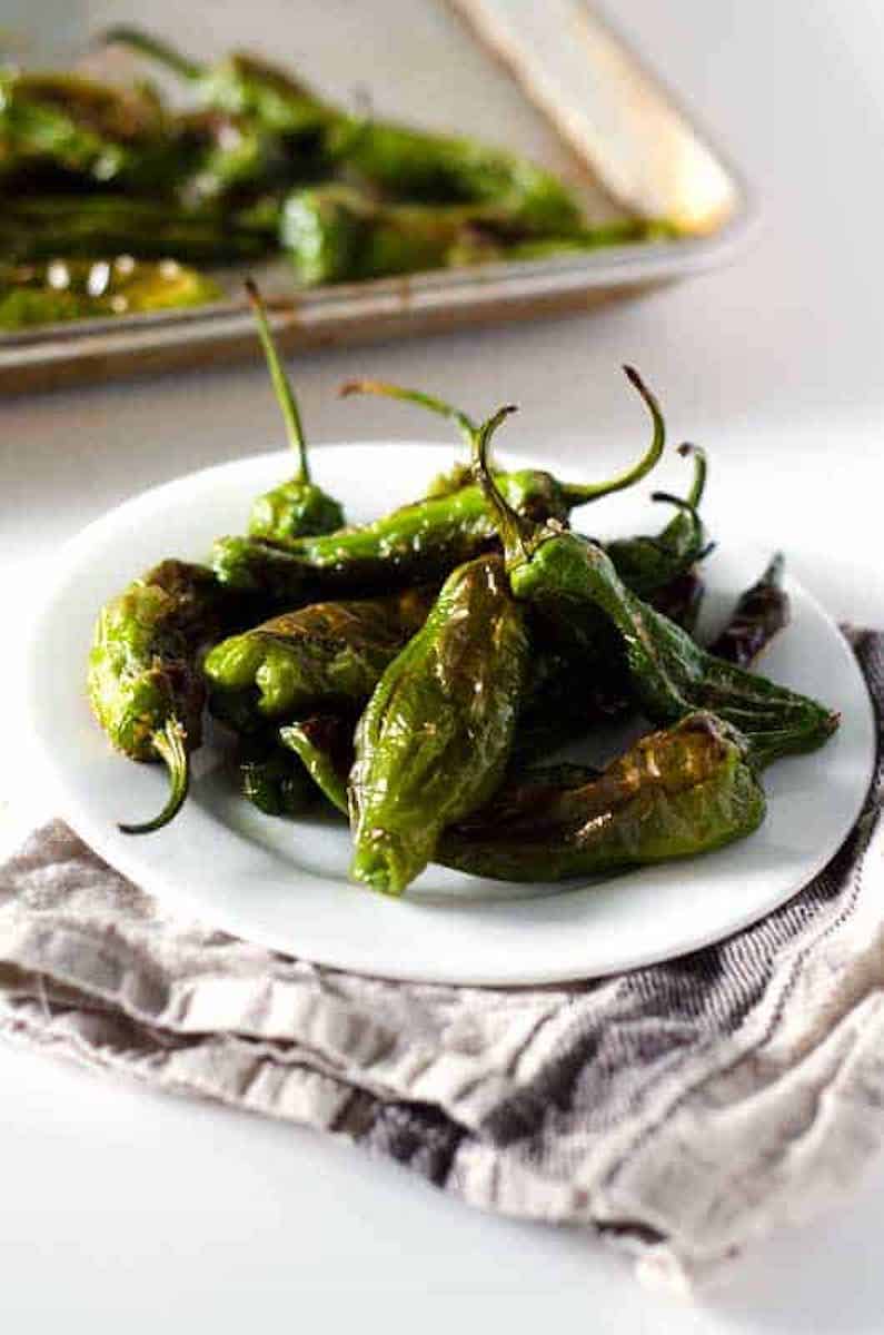 shishito_pepper_17
