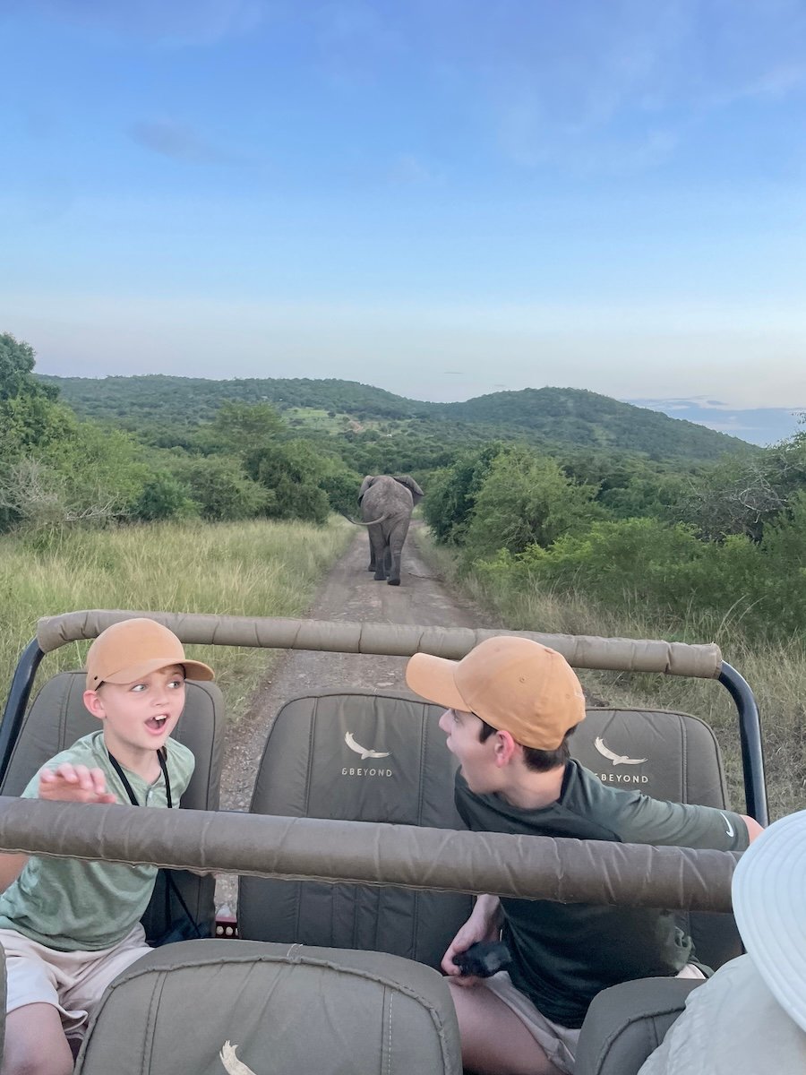 boys safari elephant