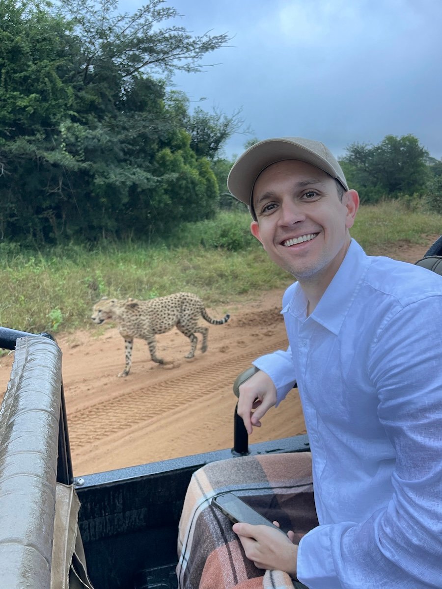 safari cheetahs