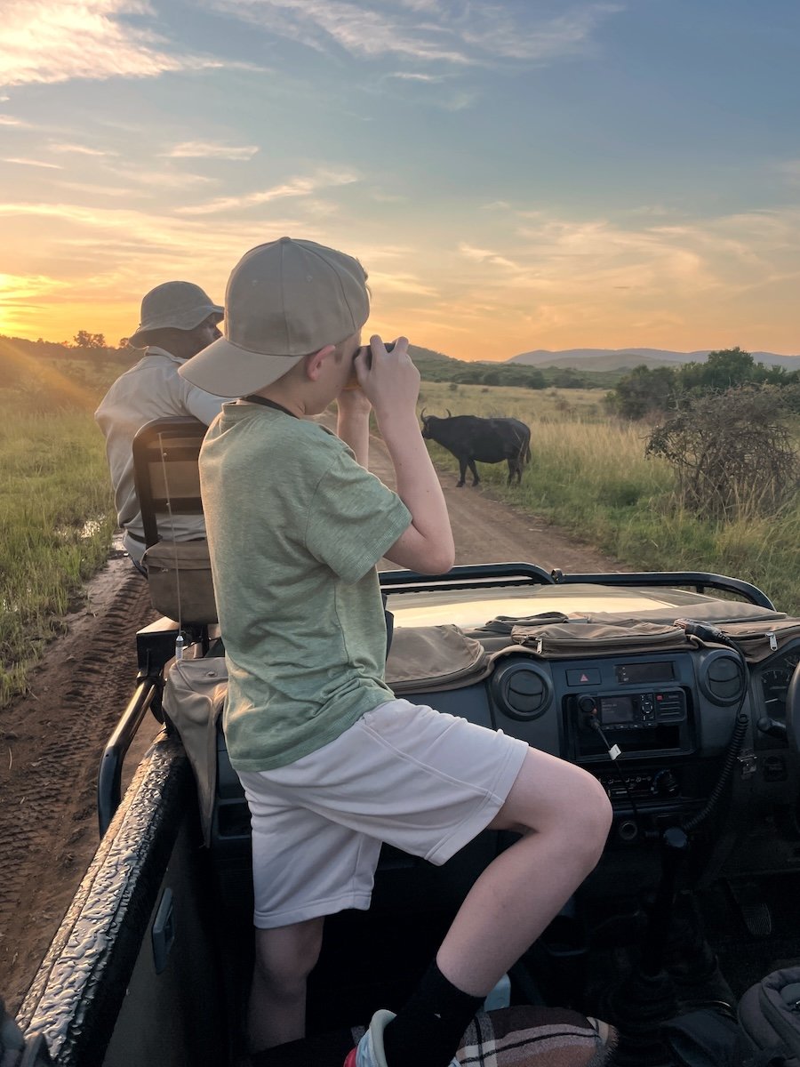 binoculars Foster safari
