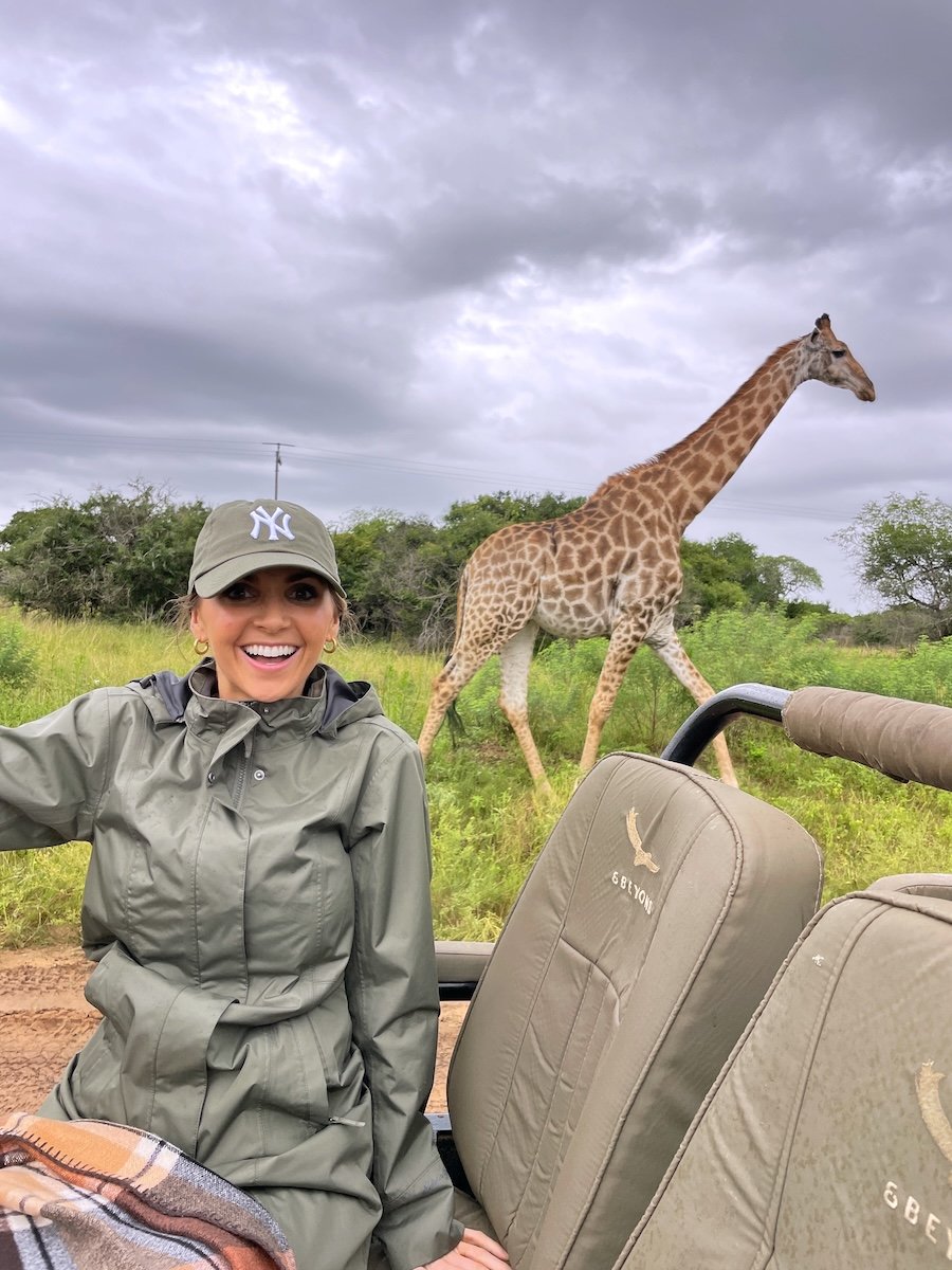 merrick safari giraffe